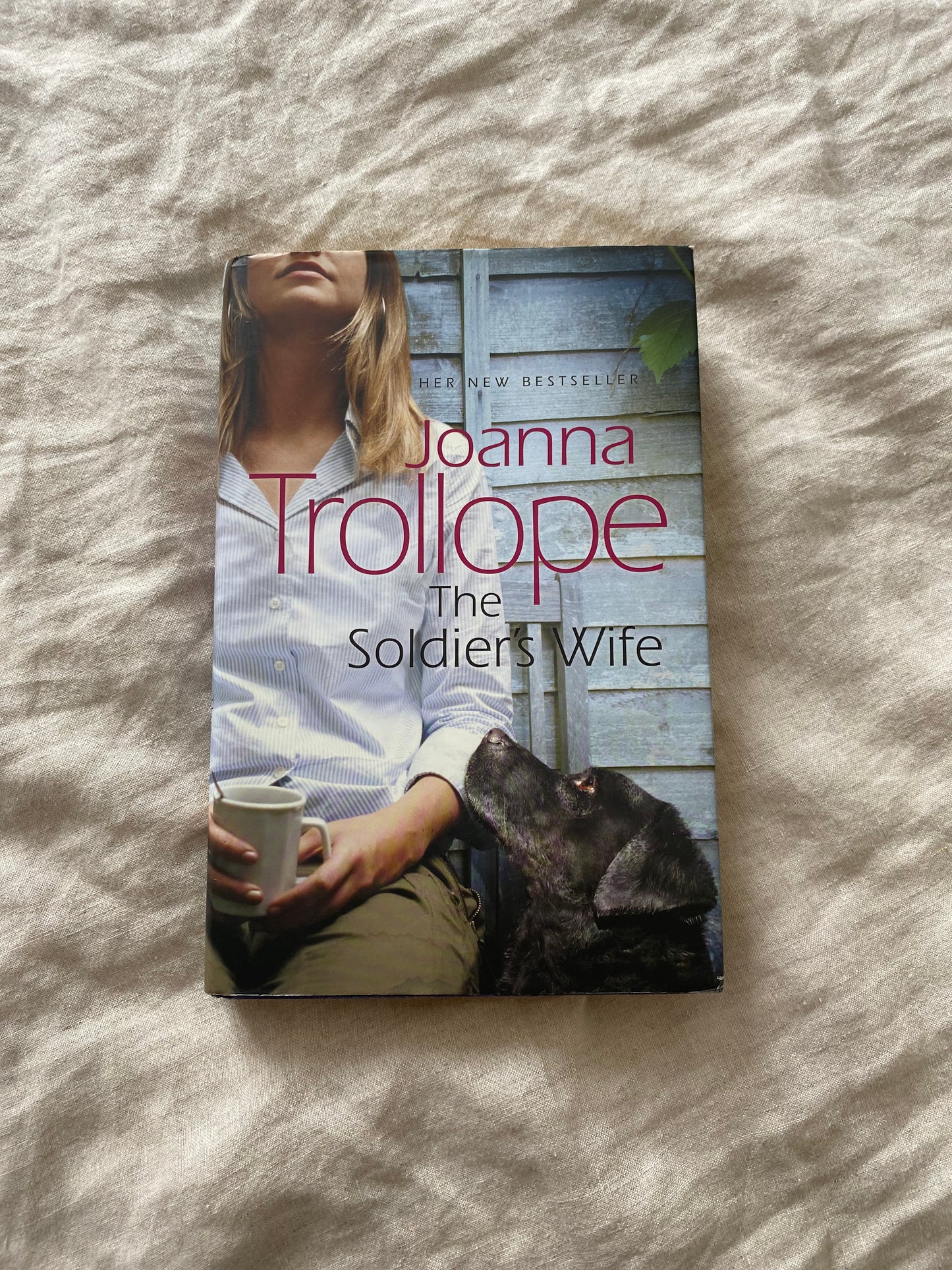 The Soldier's Wife