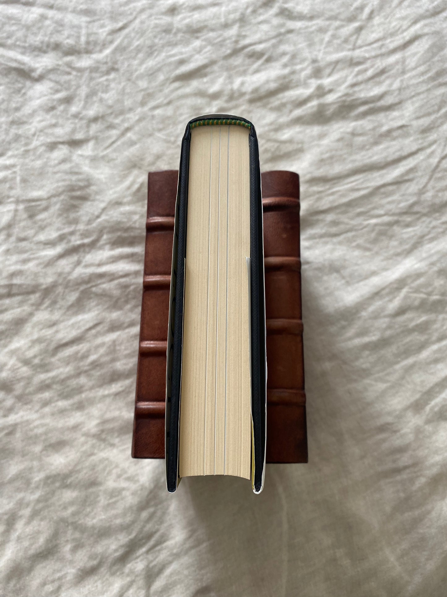 The Accidental Naturalist