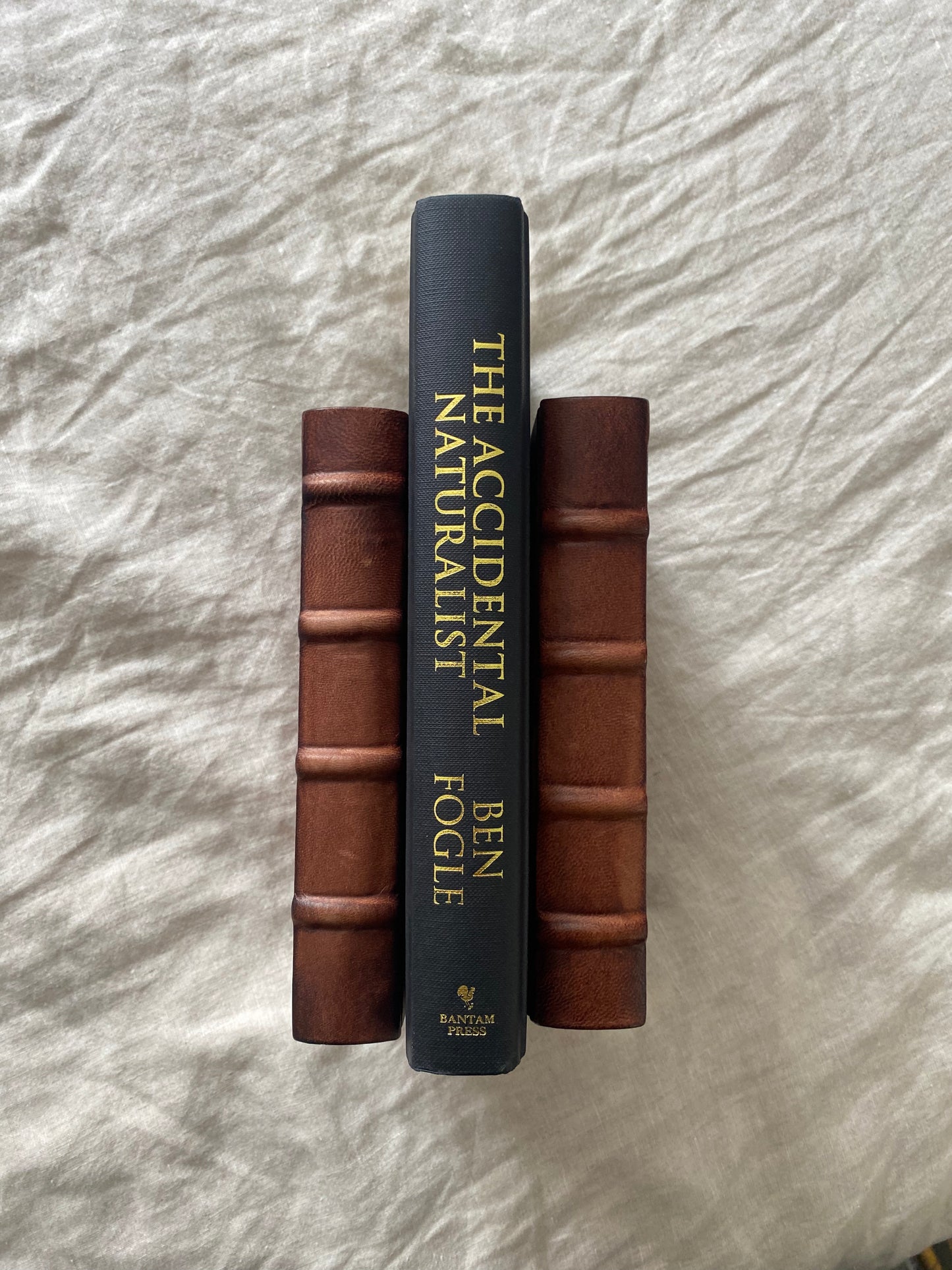The Accidental Naturalist
