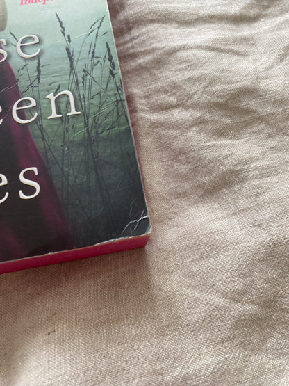 The House Between Tides