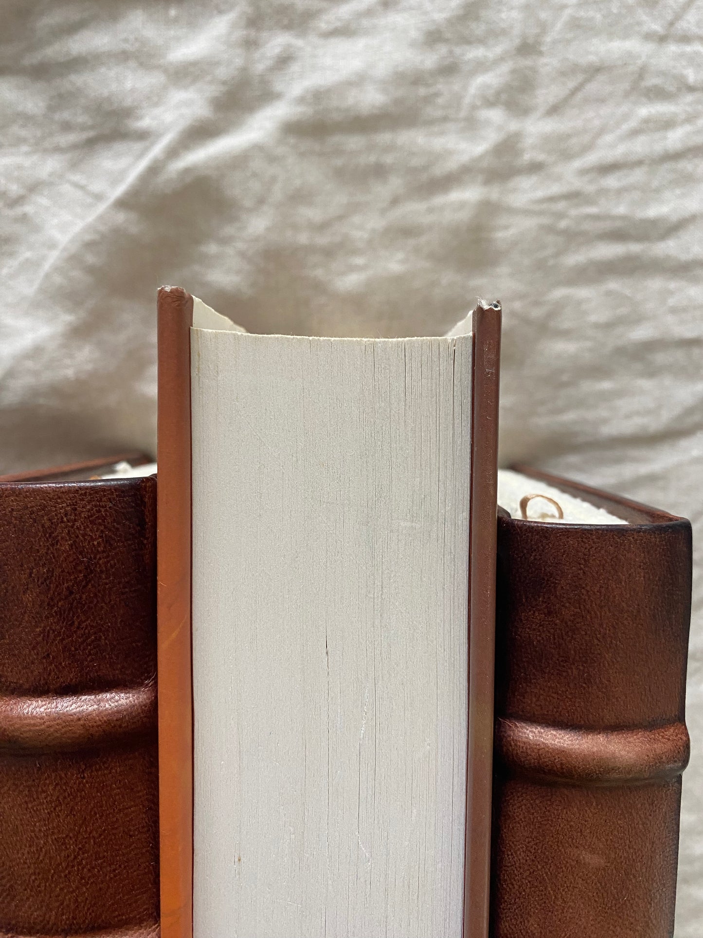 The Amber Spyglass (His Dark Materials Series #3)
