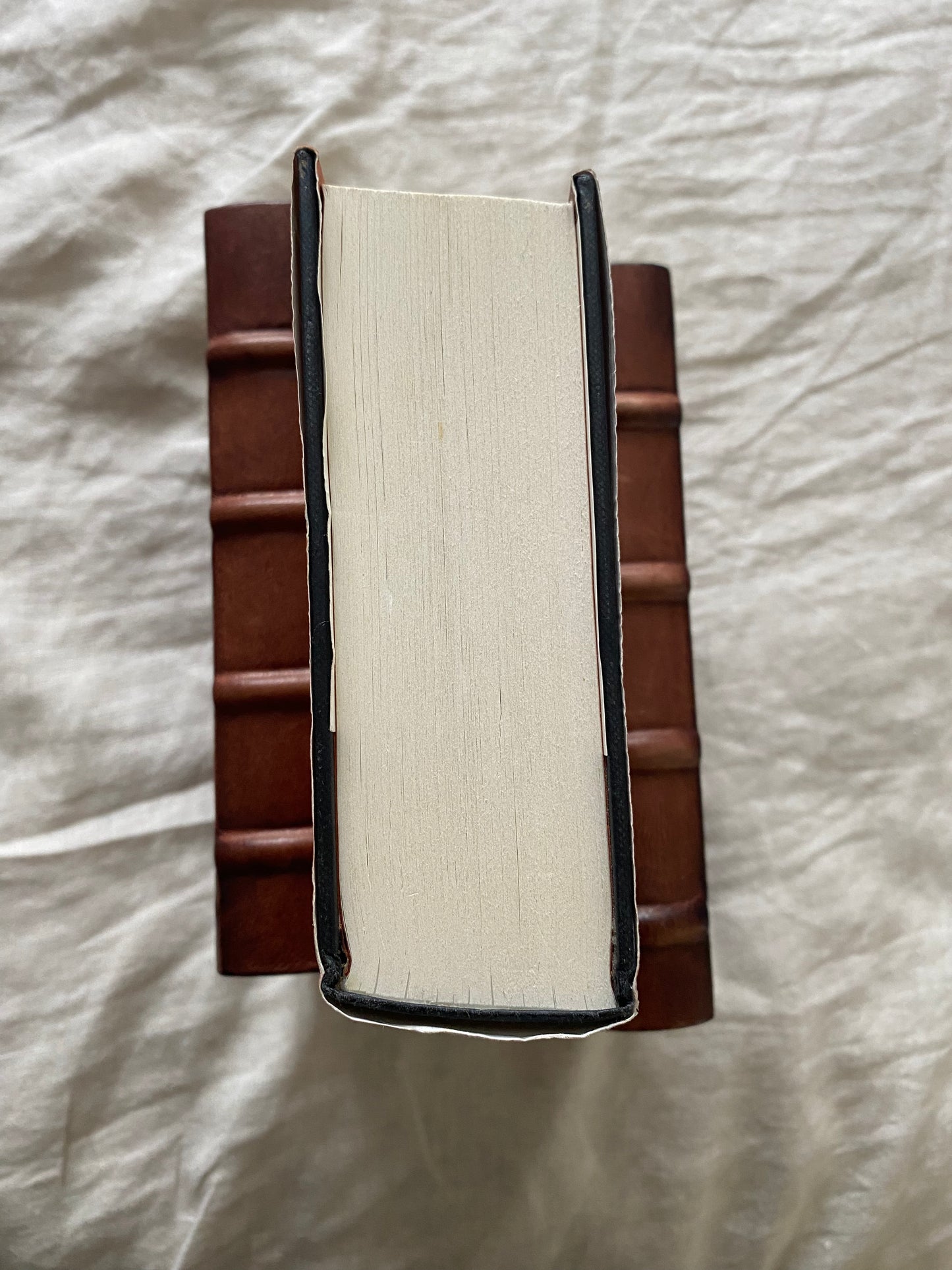 The Amber Spyglass (His Dark Materials Series #3)