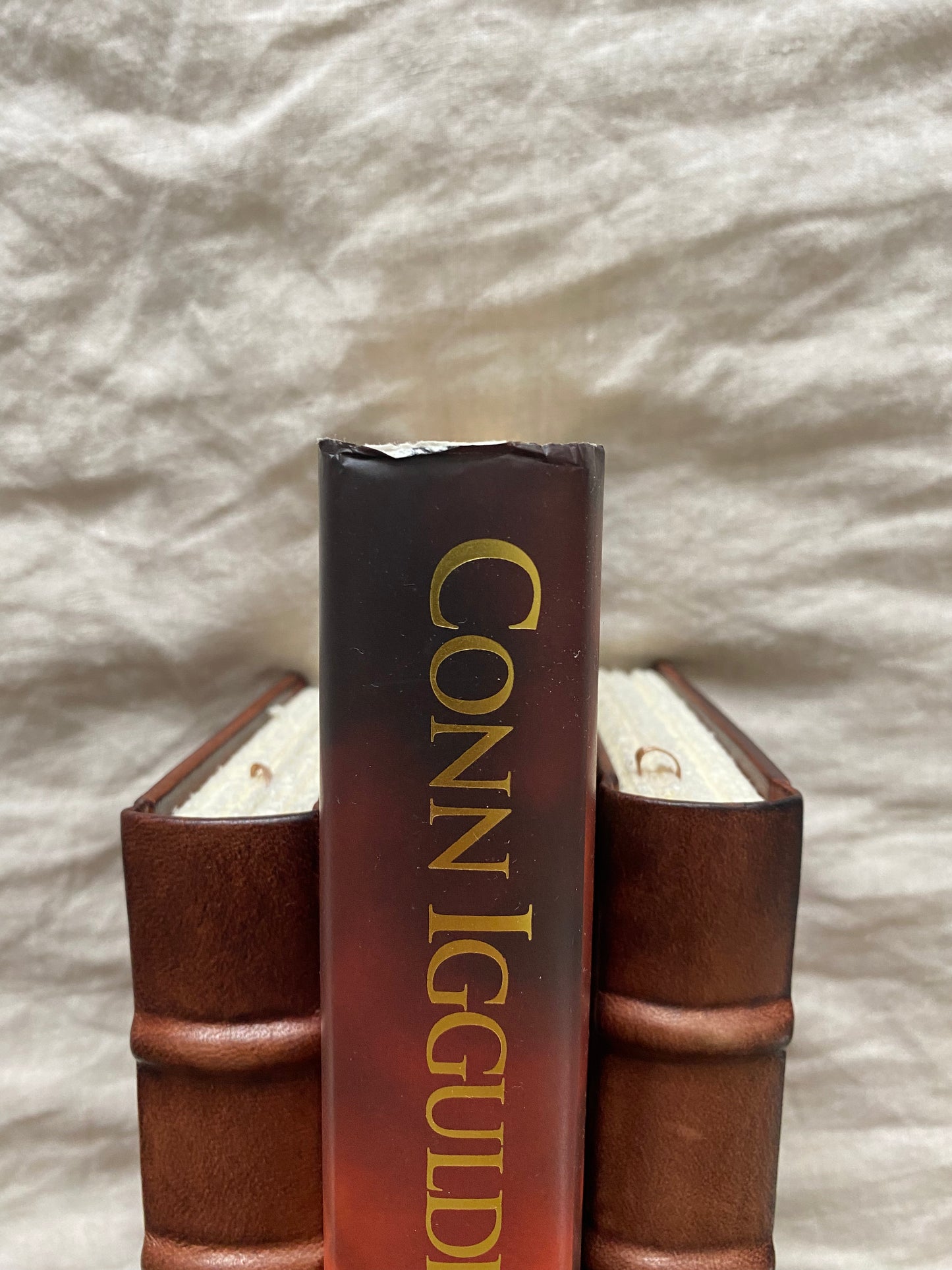 Protector (Athenian Series #2)