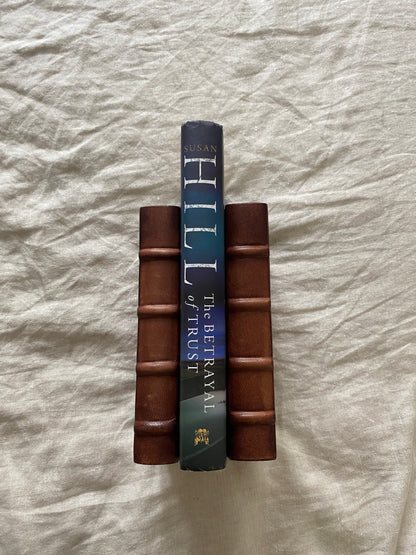 The Betrayal of Trust (Simon Serrailler Series #6)
