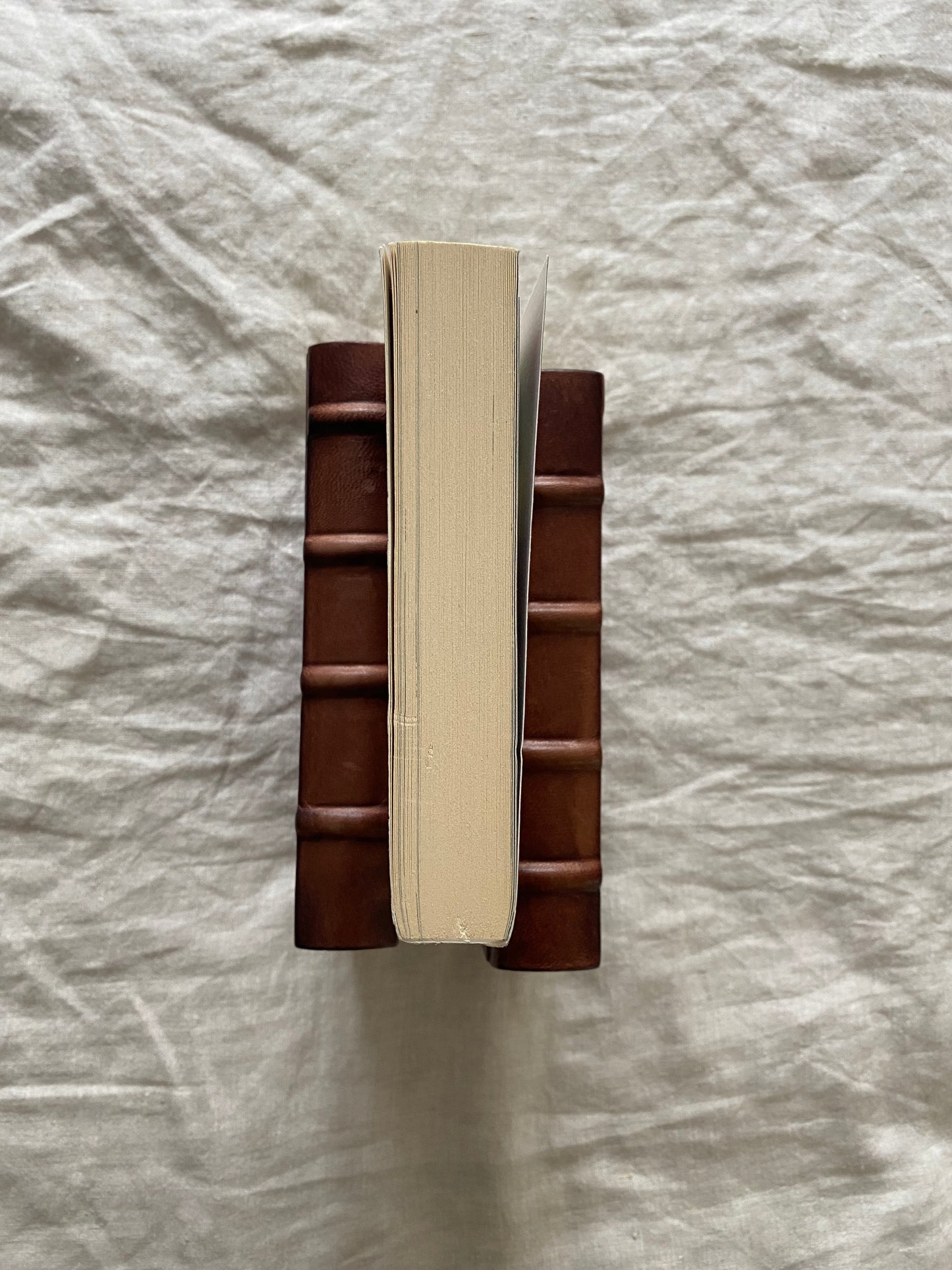 The Shadowhunter's Codex (The Shadowhunter Chronicles: Companion Book)