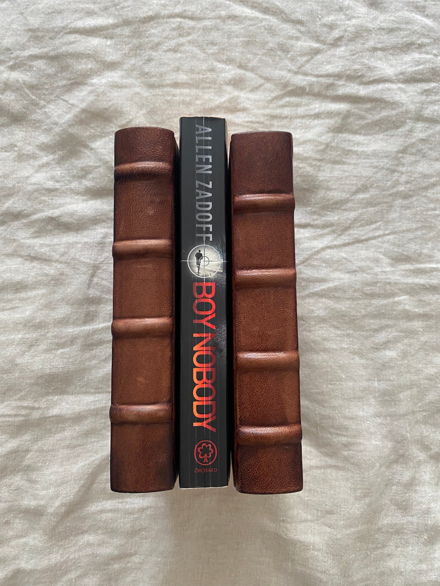 Boy Nobody (The Unknown Assassin Series #1)
