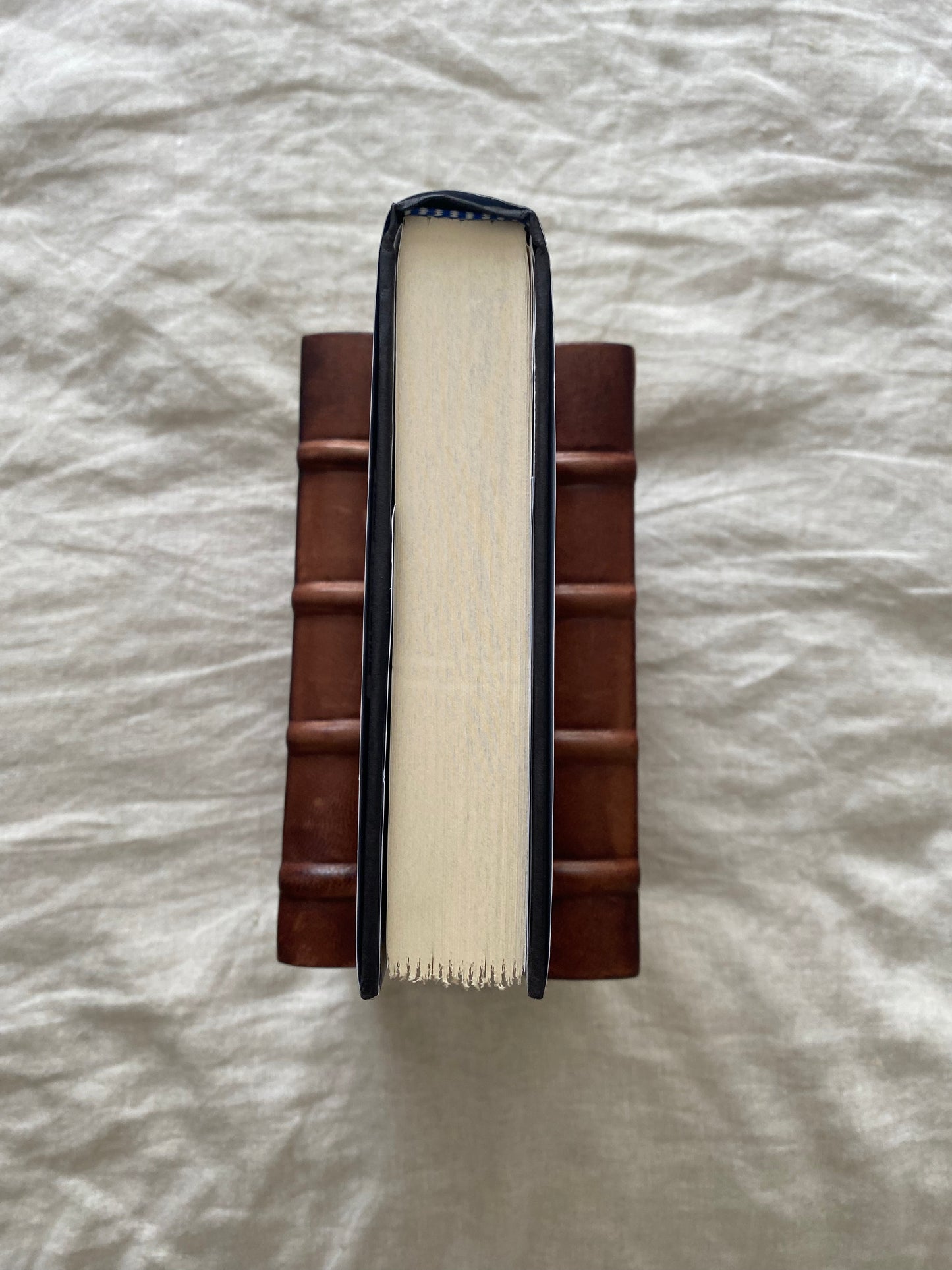 The Book of Doors