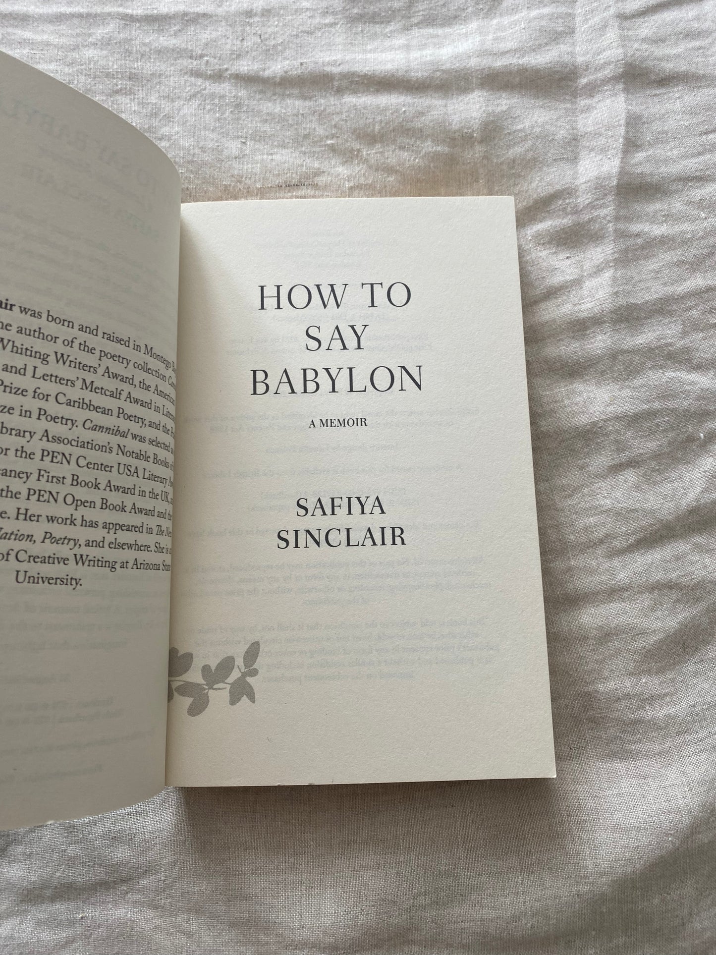 How to Say Babylon: A Jamaican Memoir
