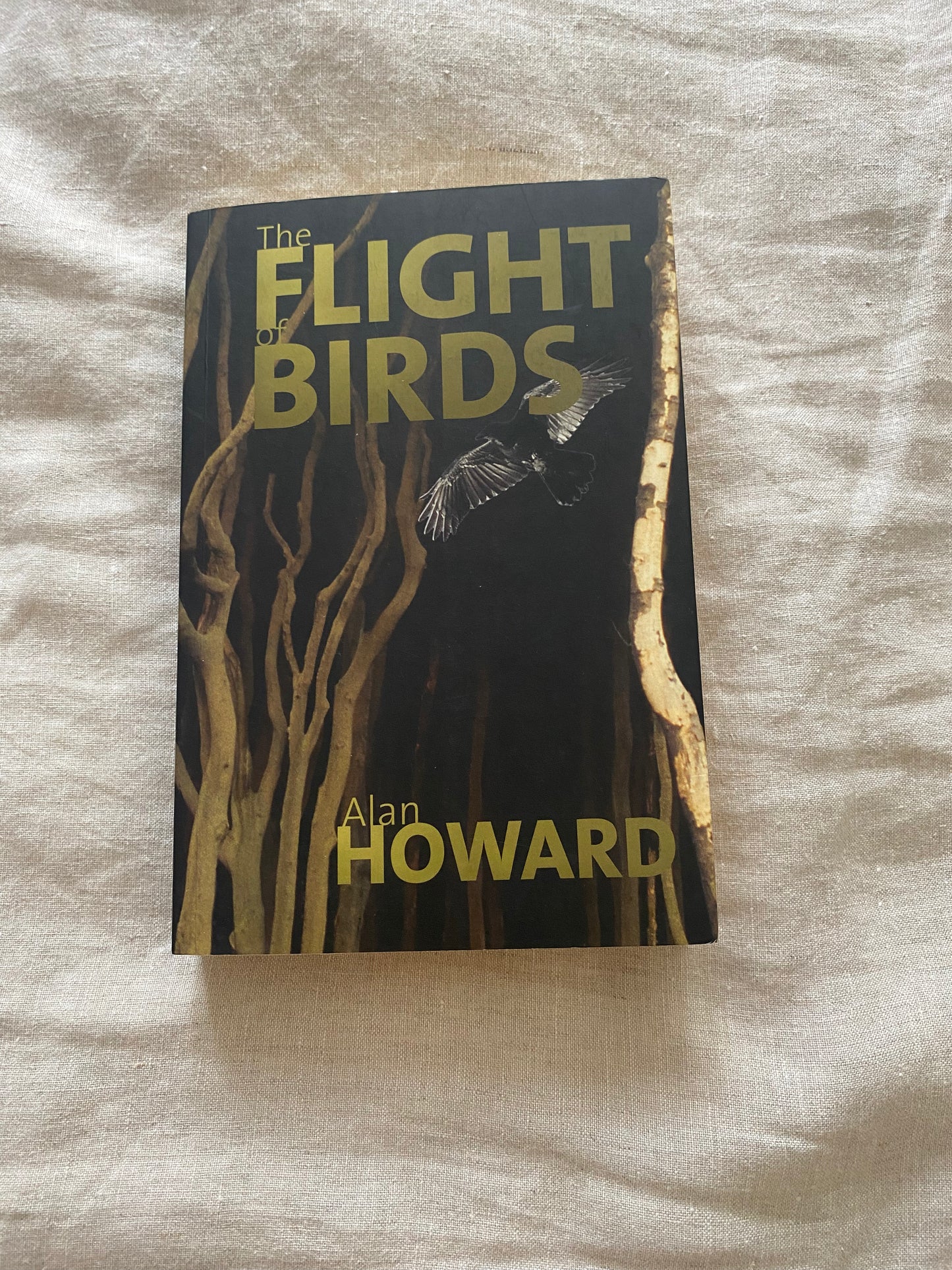 The Flight of Birds (Danse Macabre Trilogy #1)