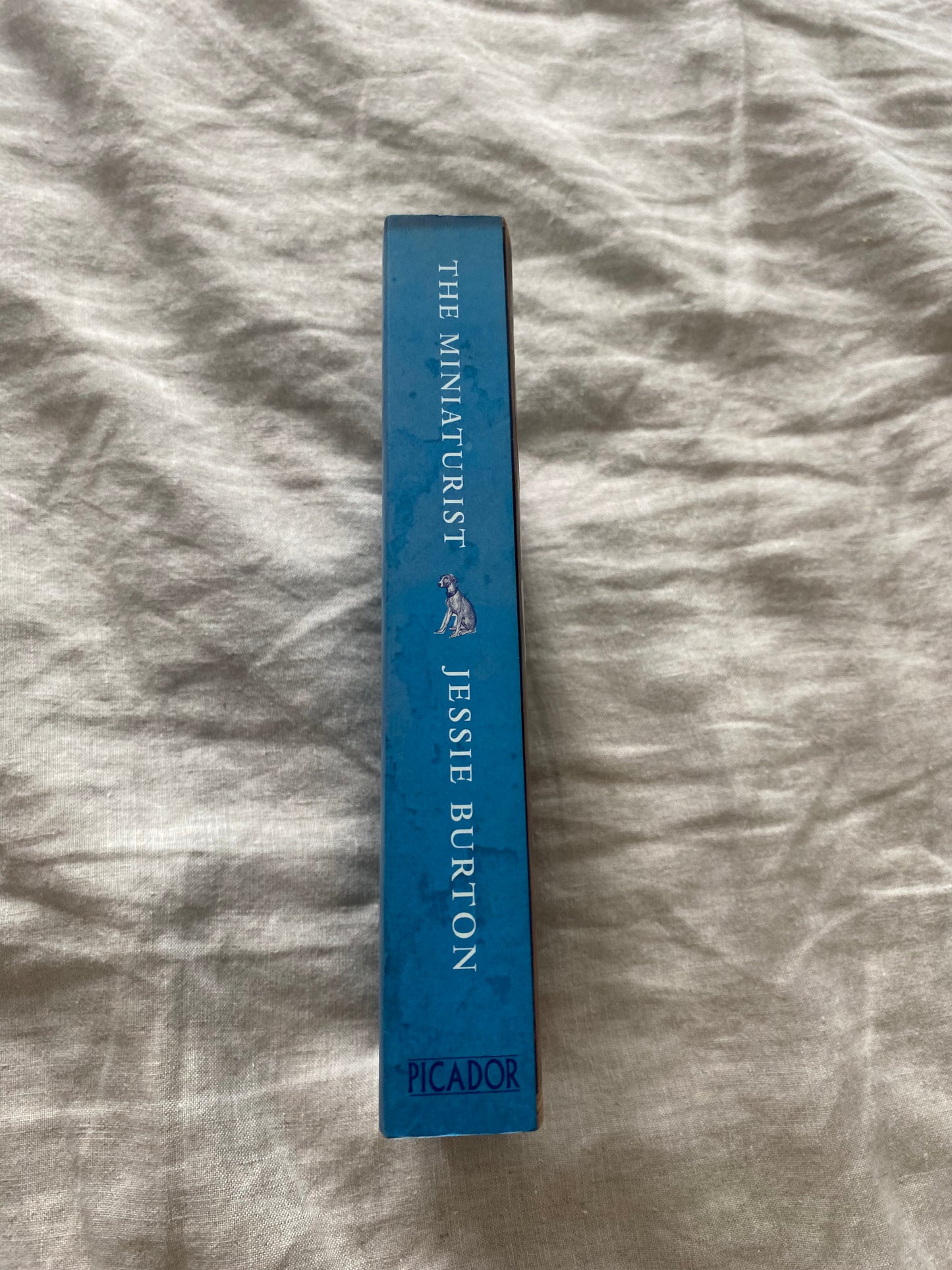 The Miniaturist