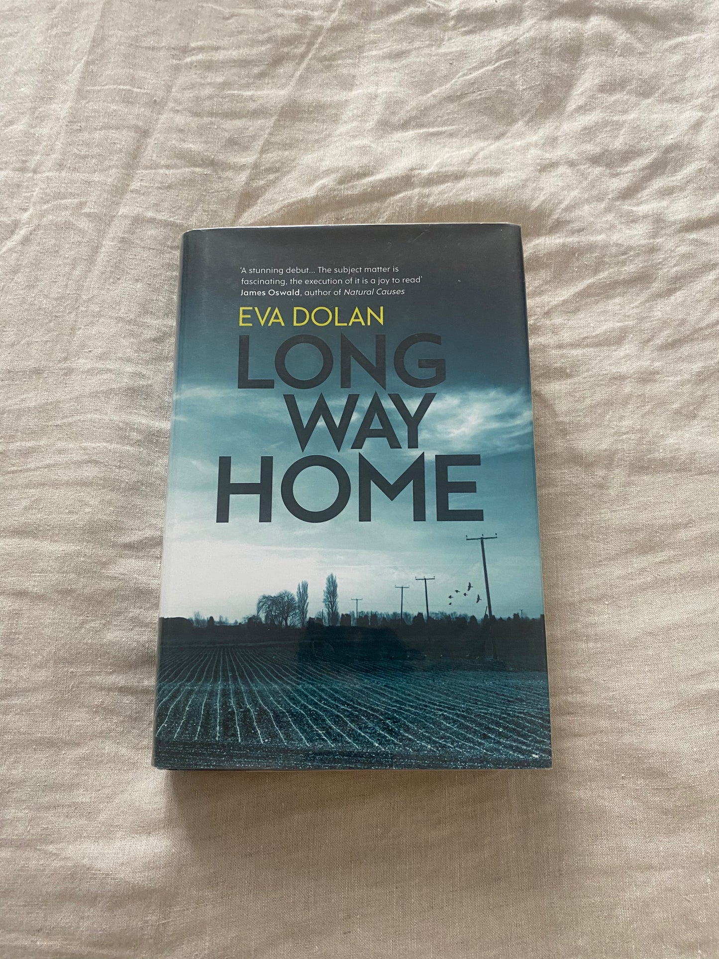 Long Way Home (Zigic and Ferreira Series #1)
