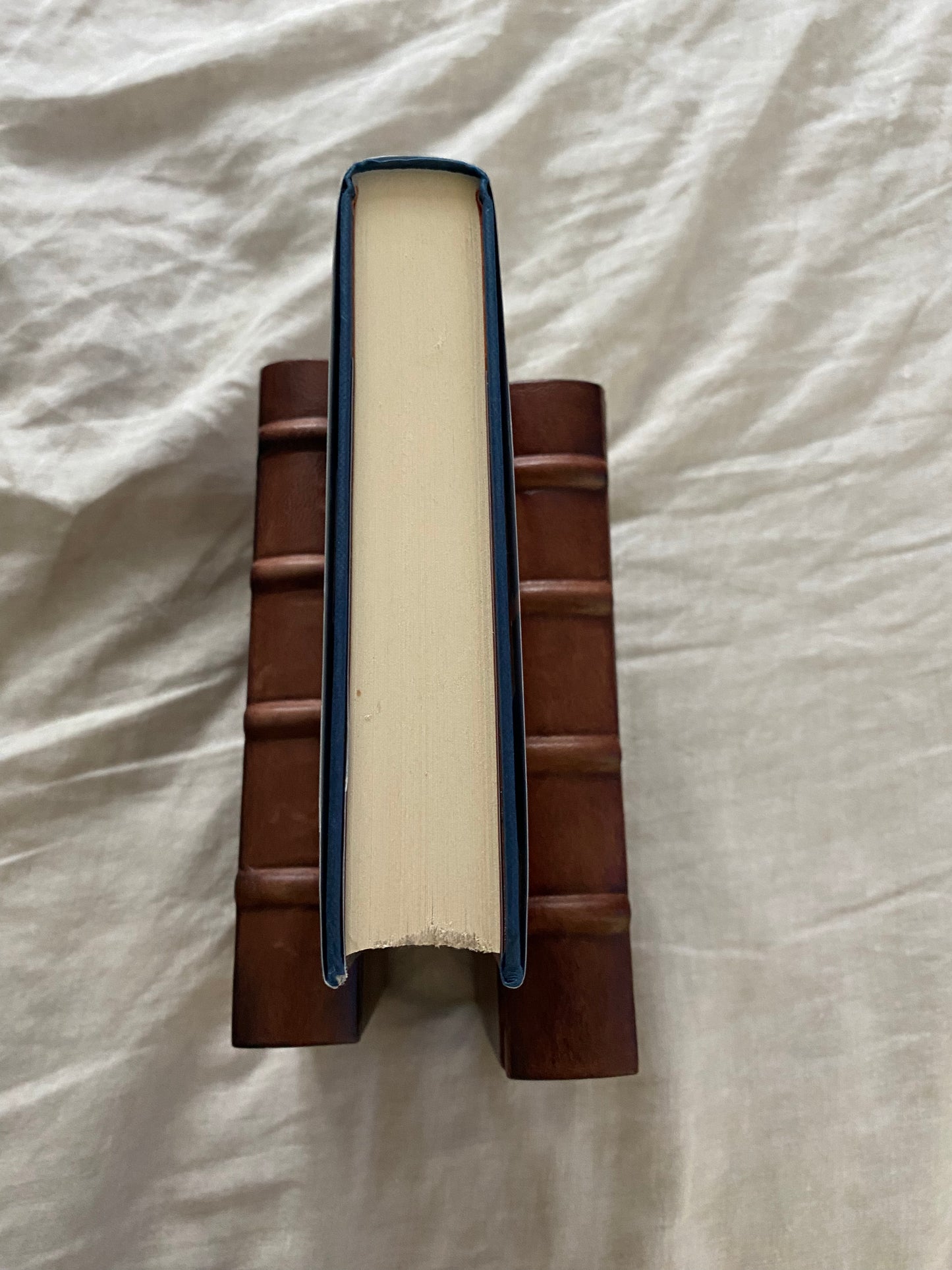 Roar; Thirty Women, Thirty Stories