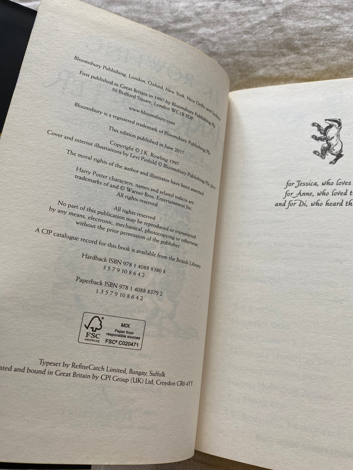 Harry Potter and the Philosopher's Stone - Hufflepuff Edition (Harry Potter House Editions)