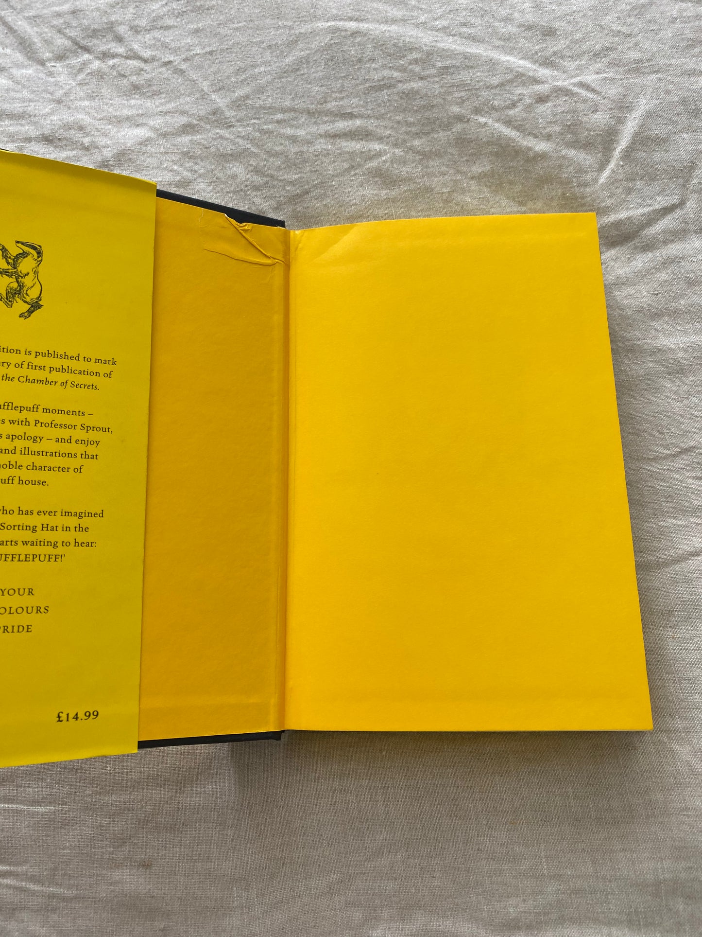 Harry Potter and the Chamber of Secrets - Hufflepuff Edition (Harry Potter House Editions)