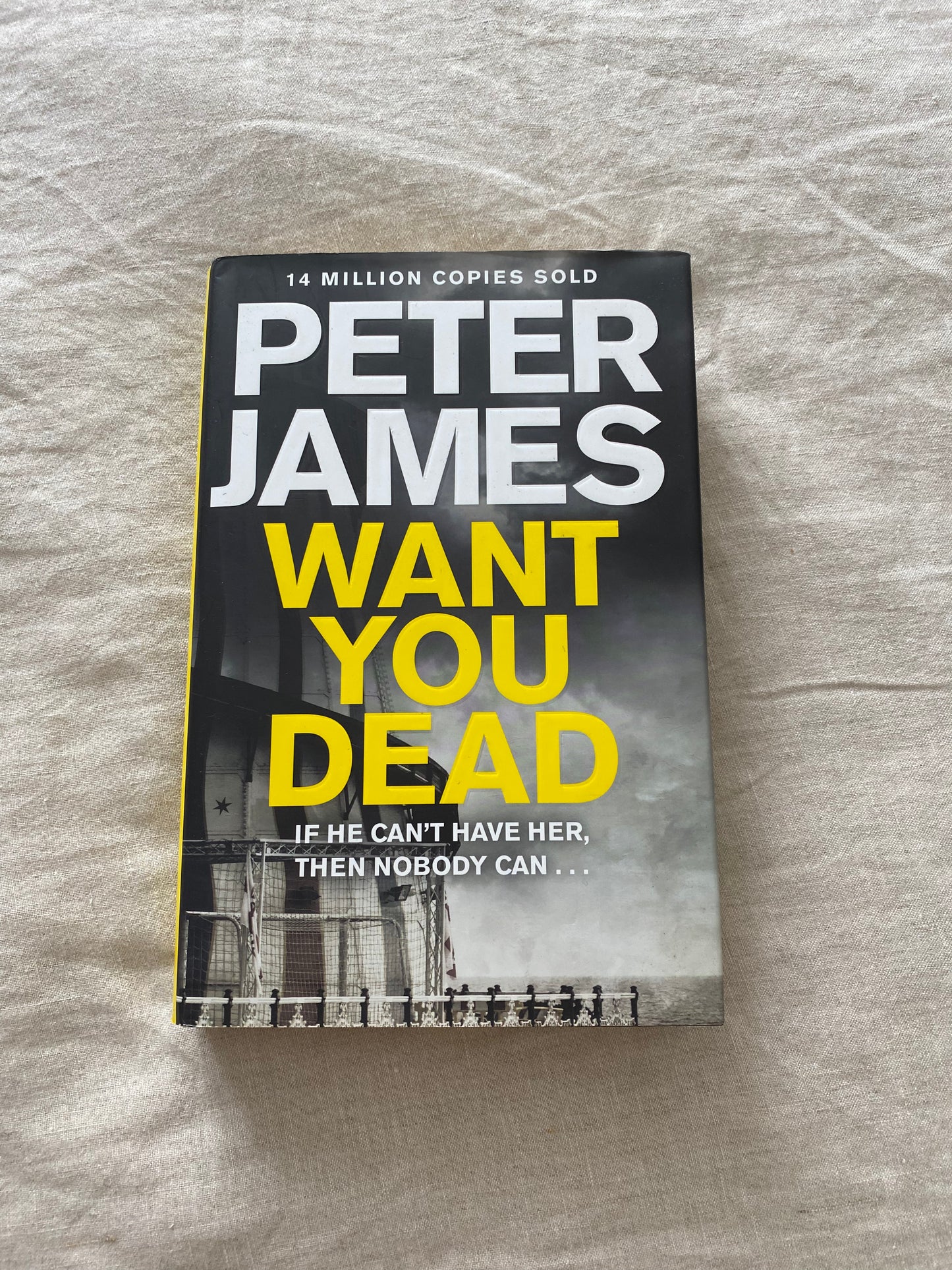 Want You Dead (Detective Superintendent Roy Grace Series #10)