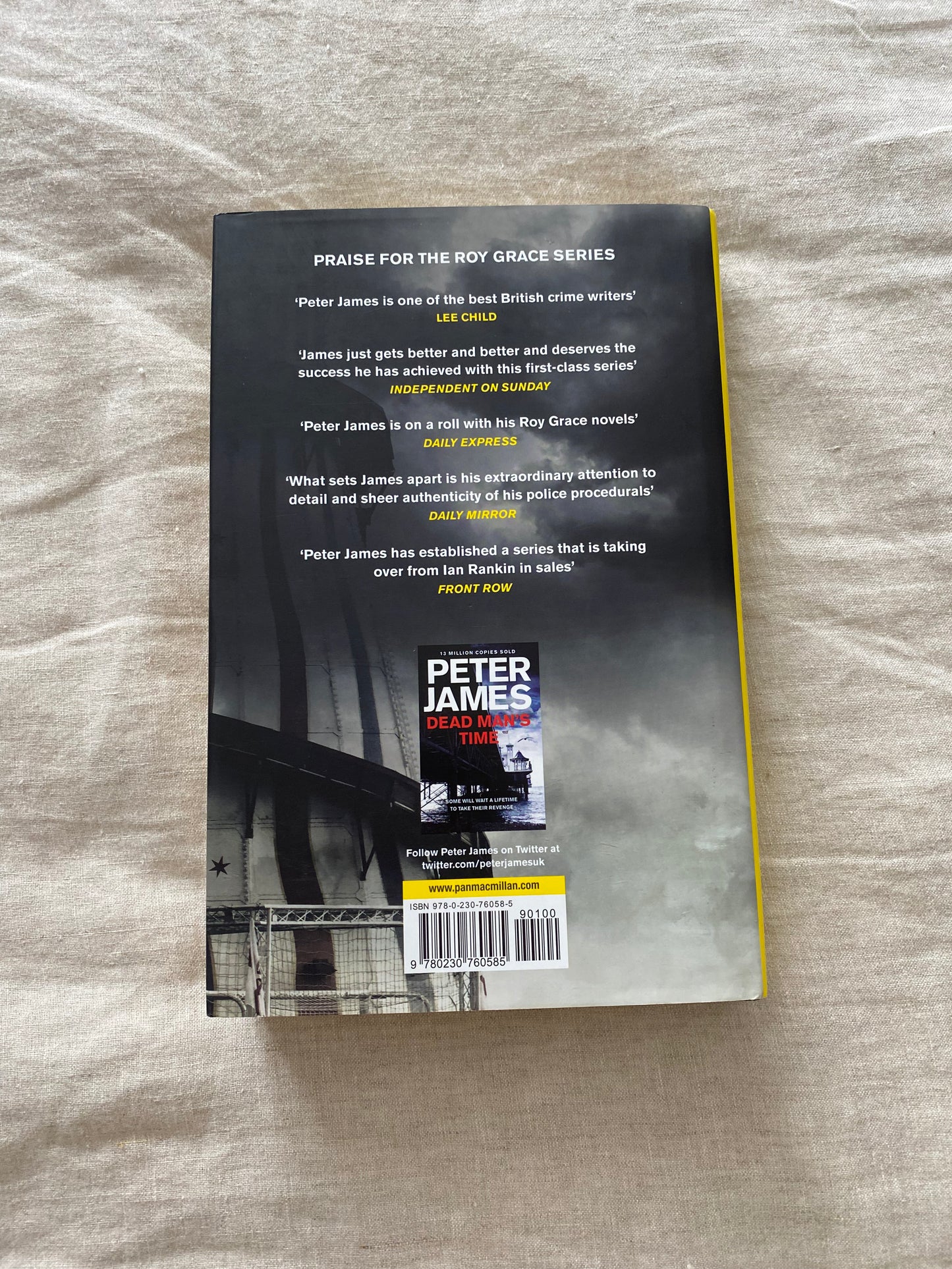 Want You Dead (Detective Superintendent Roy Grace Series #10)