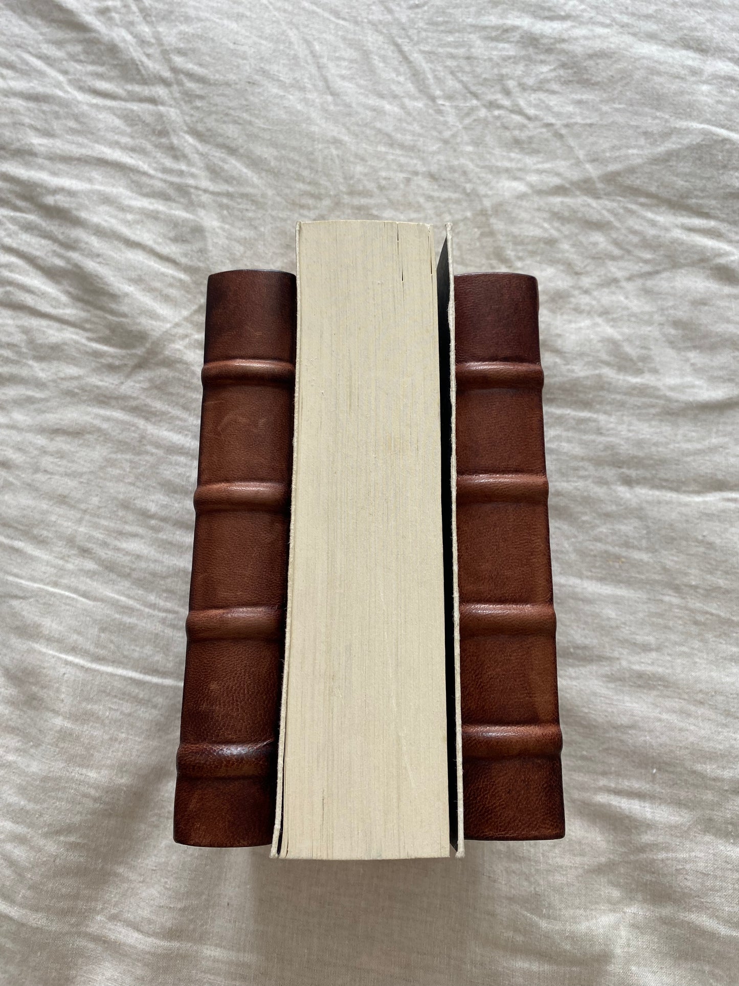 The Amber Spyglass Collector's Edition (His Dark Materials Series #3)