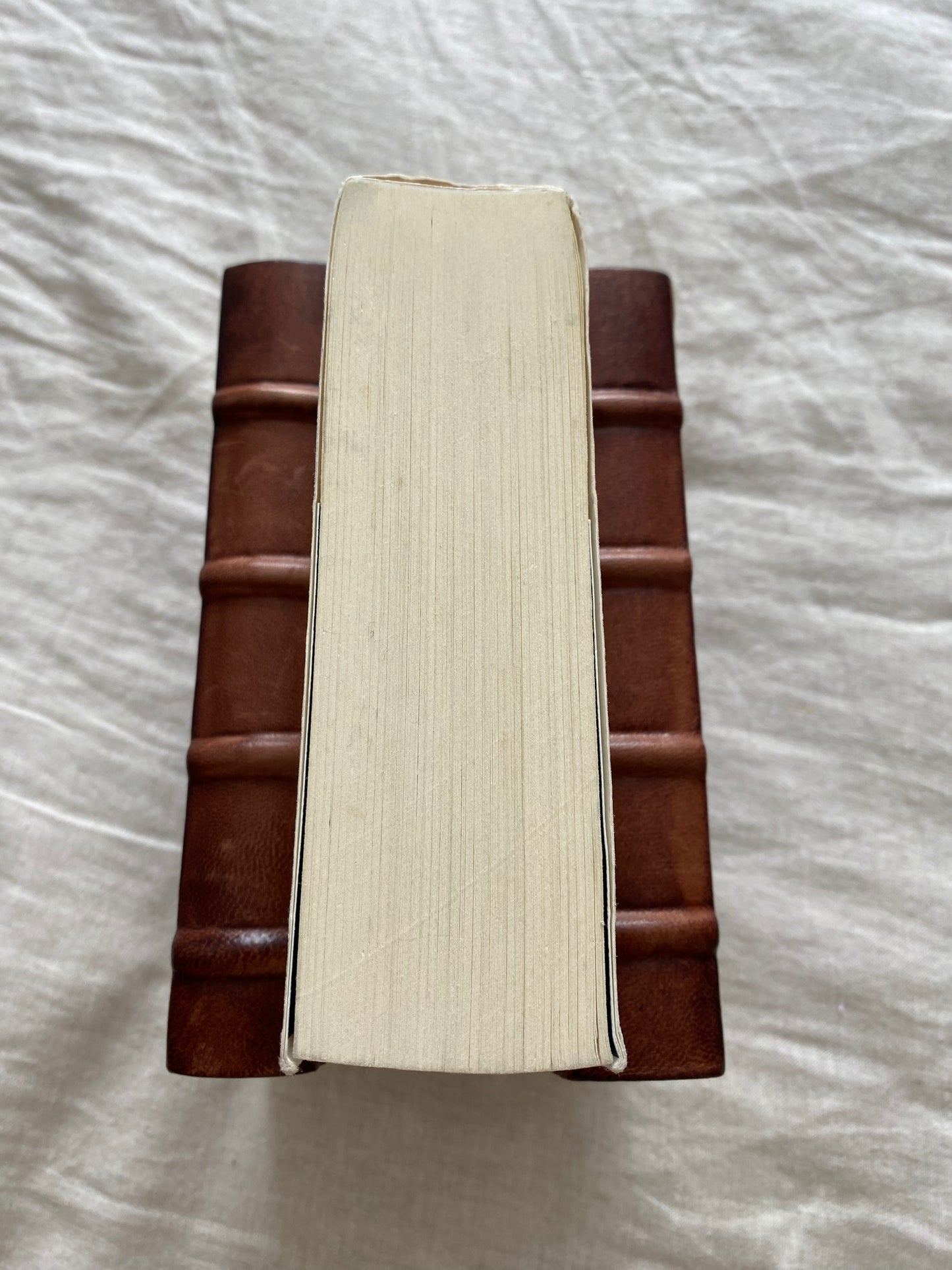 The Amber Spyglass Collector's Edition (His Dark Materials Series #3)