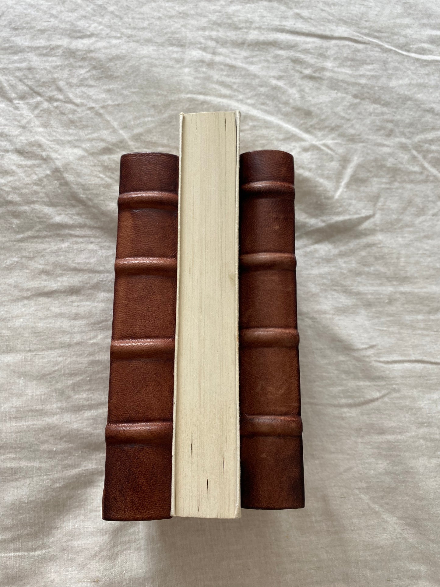 The Subtle Knife Collector's Edition (His Dark Materials Series #2)