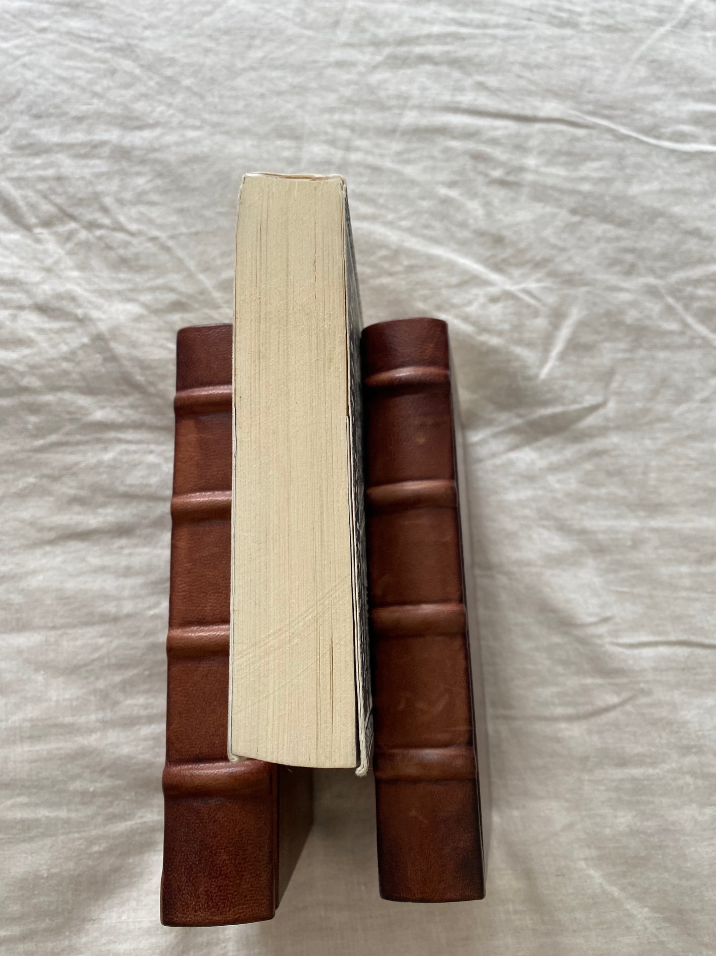 The Subtle Knife Collector's Edition (His Dark Materials Series #2)