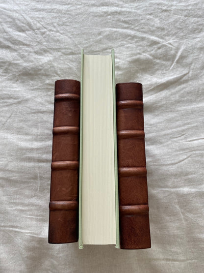 Phineas Finn, The Irish Member (The Palliser Novels Series #2) (The Folio Society)