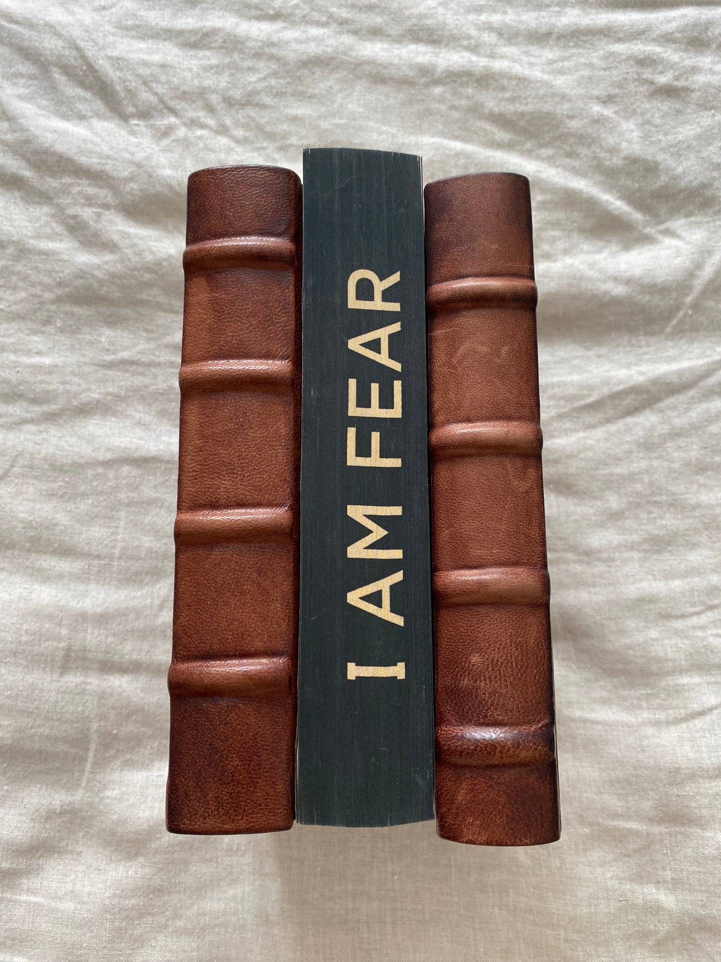I Am Fear (The Ackerman Thrillers #2)