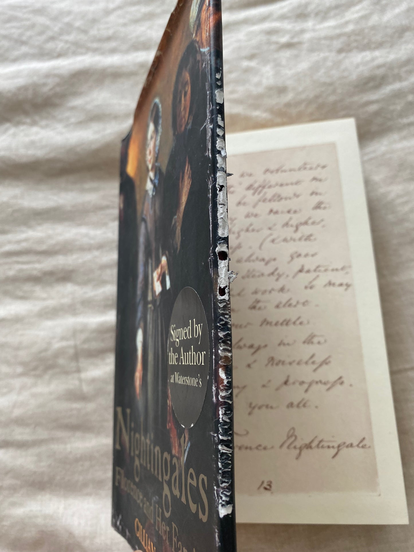 Nightingales: The Story of Florence Nightingale and Her Remarkable Family