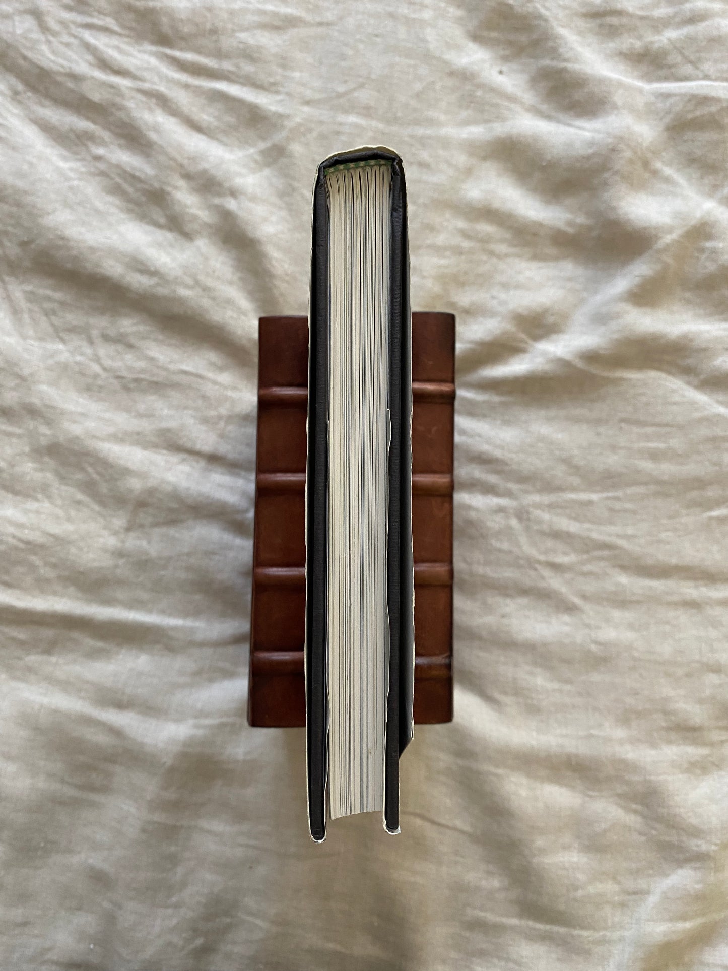 In the Frame: My Life in Words and Pictures