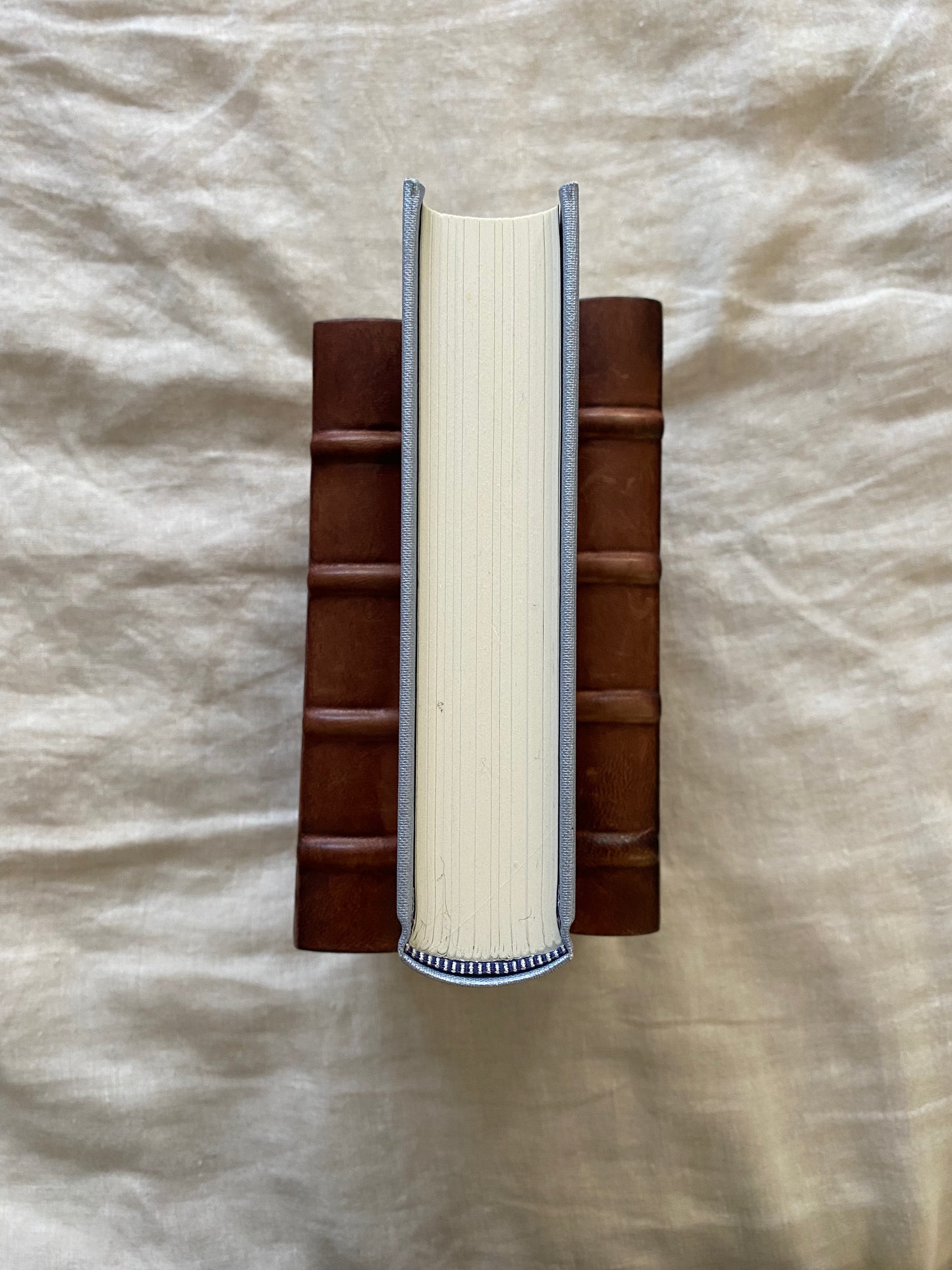 At The Back of the North Wind (The Folio Society)
