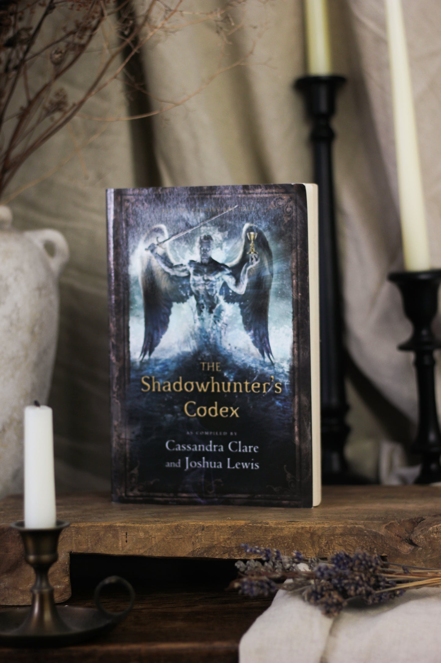 The Shadowhunter's Codex (The Shadowhunter Chronicles: Companion Book)