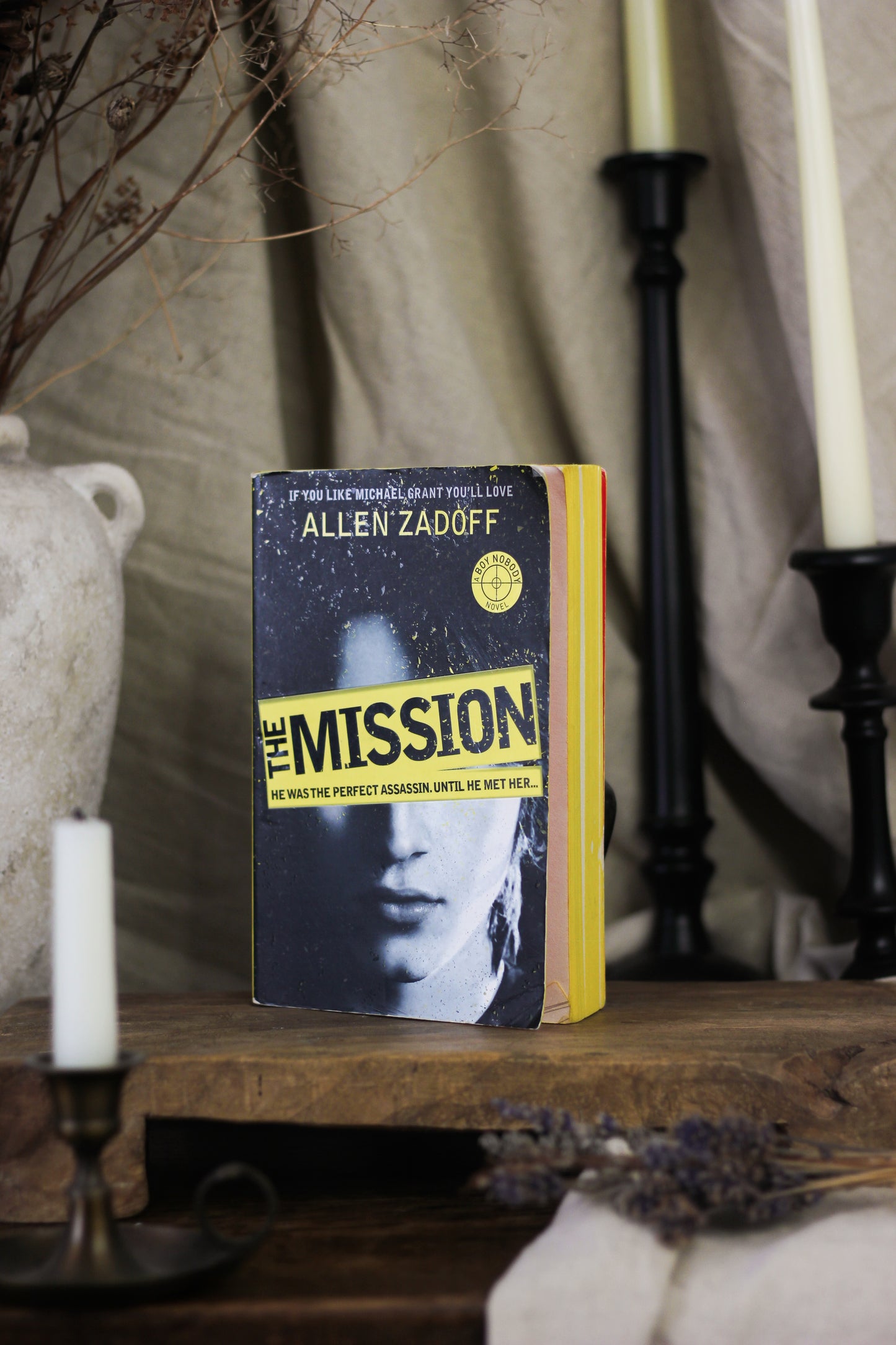 The Mission (The Unknown Assassin Series #2)
