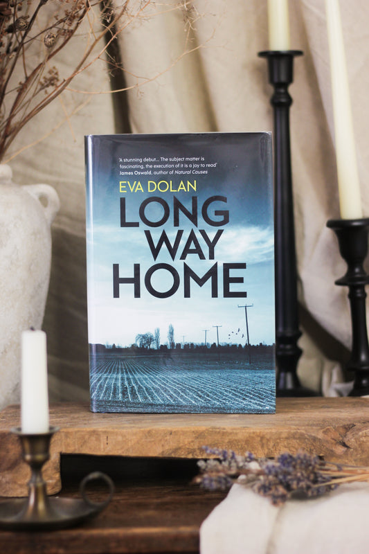 Long Way Home (Zigic and Ferreira Series #1)