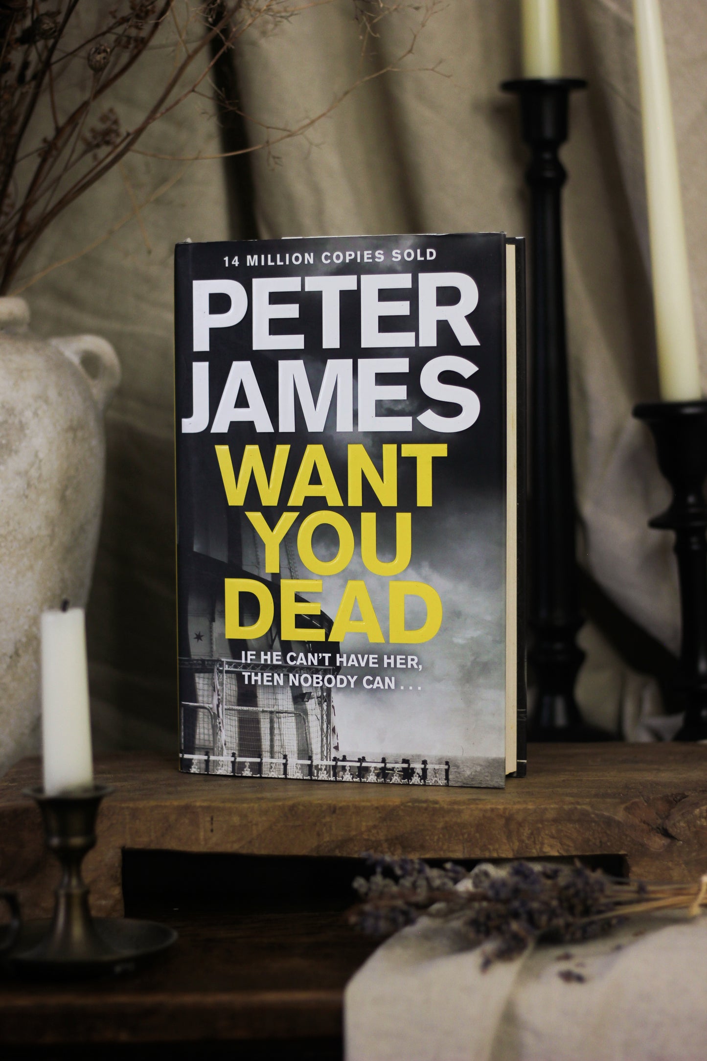 Want You Dead (Detective Superintendent Roy Grace Series #10)