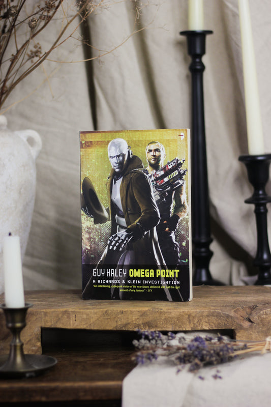 Omega Point: A Richards & Klein Investigation (Richards & Klein Series #2)