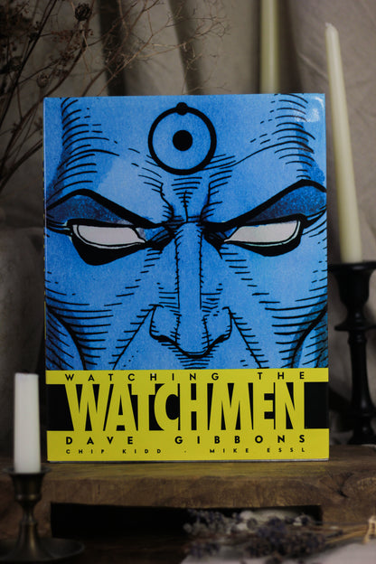 Watching the Watchmen