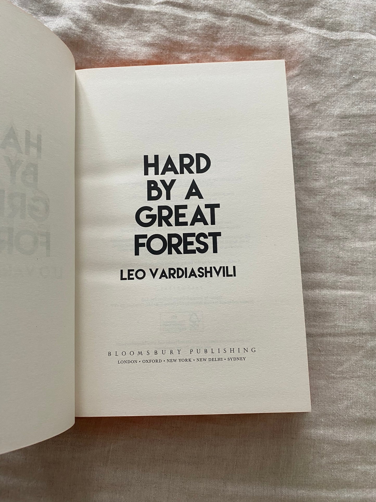 Hard by a Great Forest