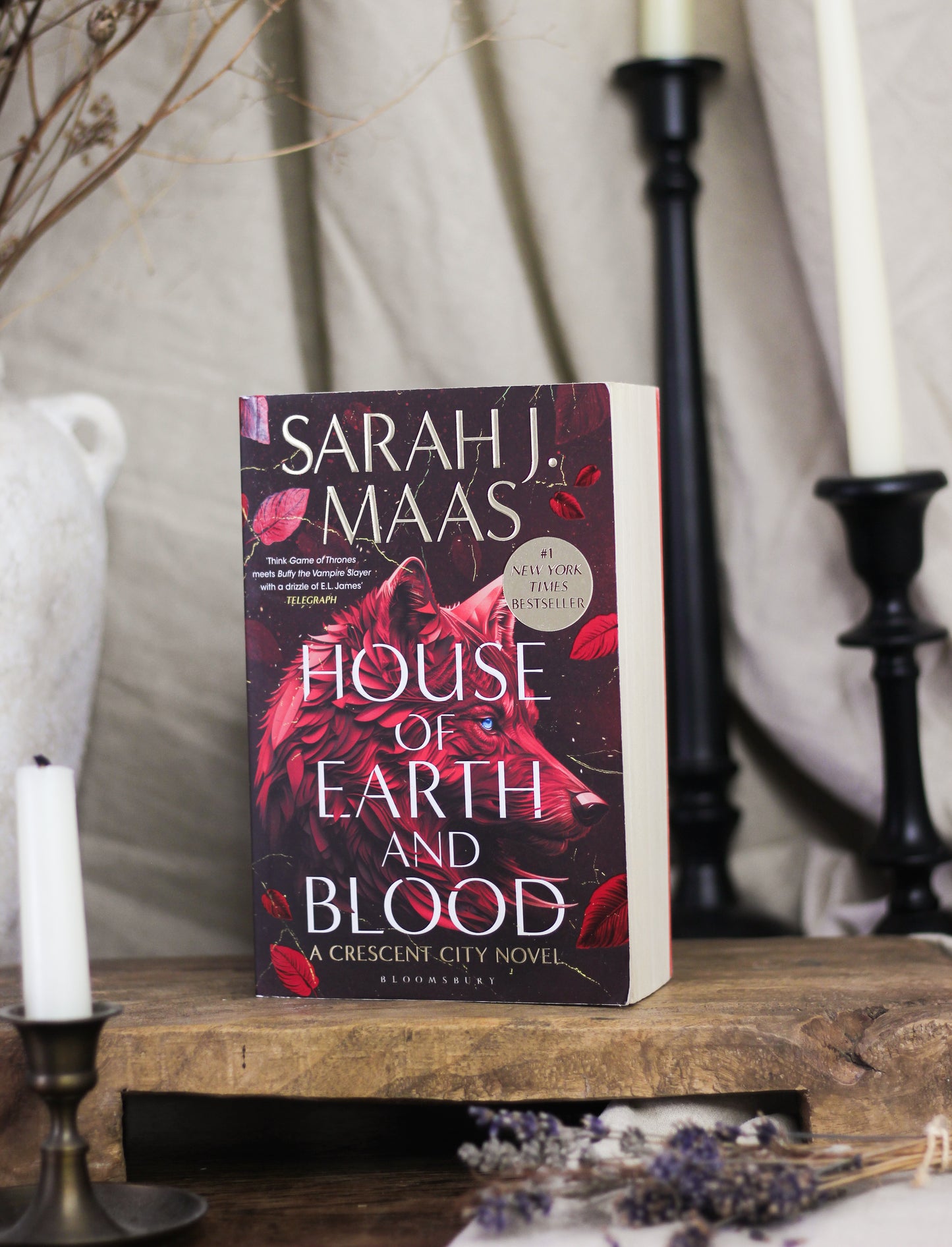 House of Earth and Blood (Crescent City Series #1)