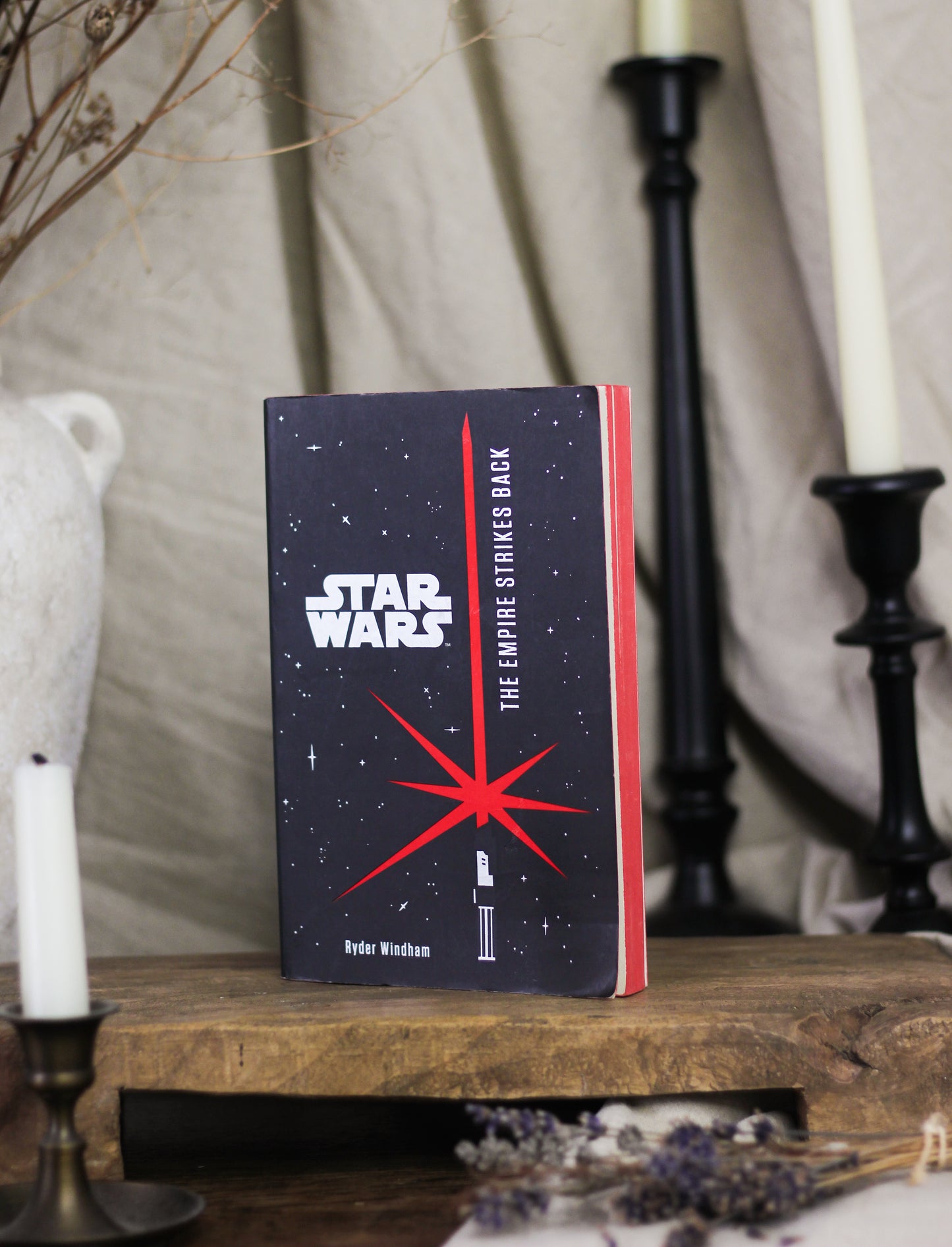 Star Wars: The Empire Strikes Back (Junior Novel)