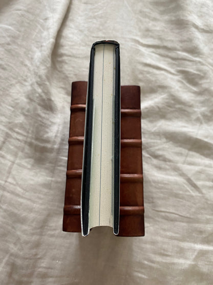 The Lion's Diary