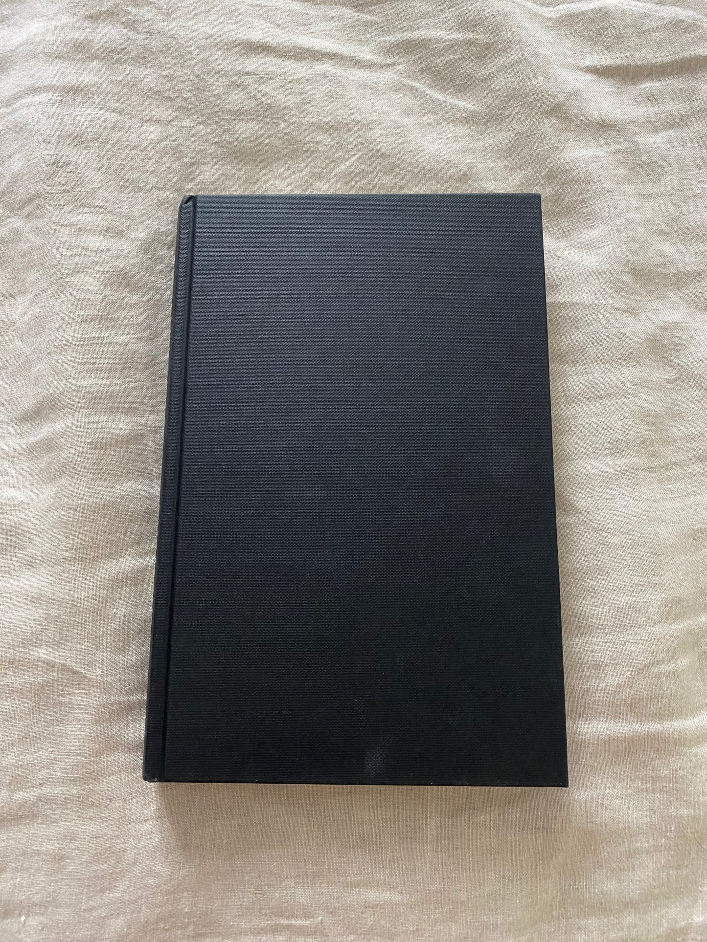 The Lion's Diary