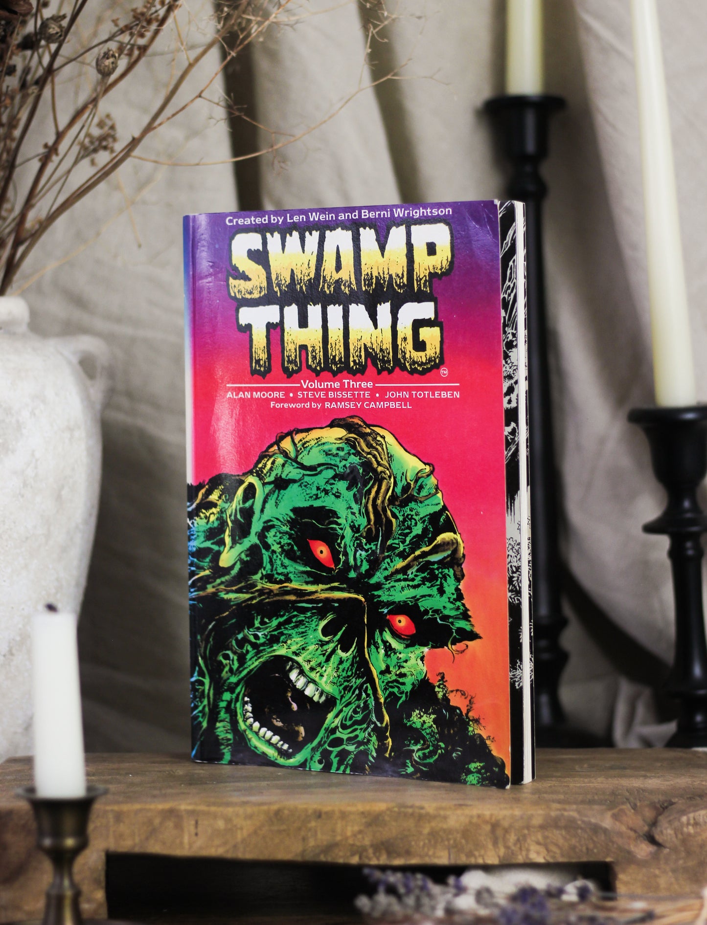 Swamp Thing, Volume 3 (Saga of the Swamp Thing Series)