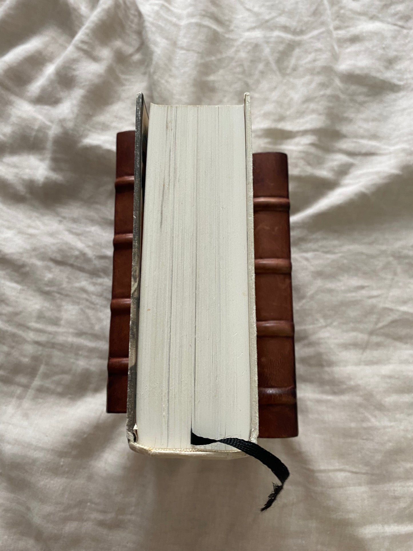 Charles Dickens: A Life