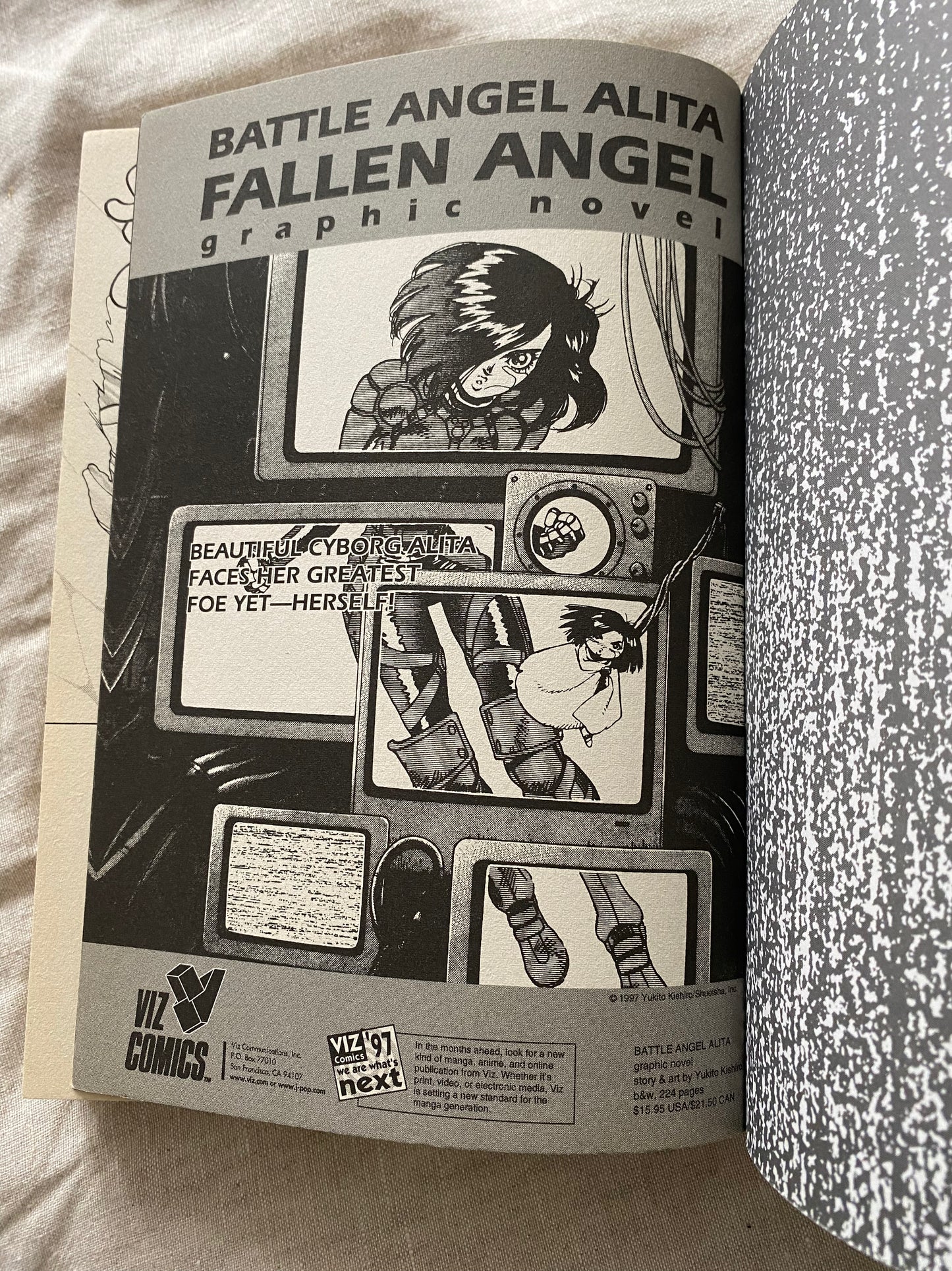 Battle Angel Alita, Vol. 9: Angel's Ascension