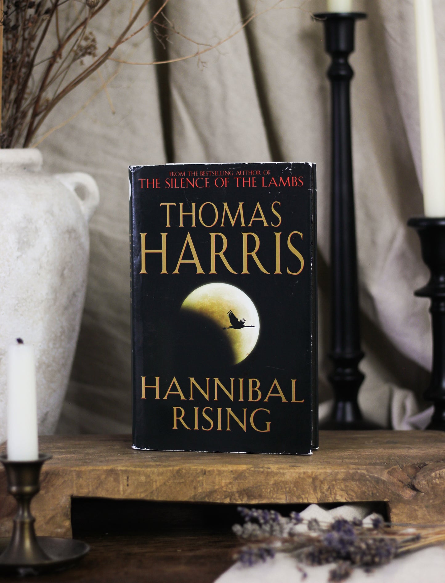 Hannibal Rising
