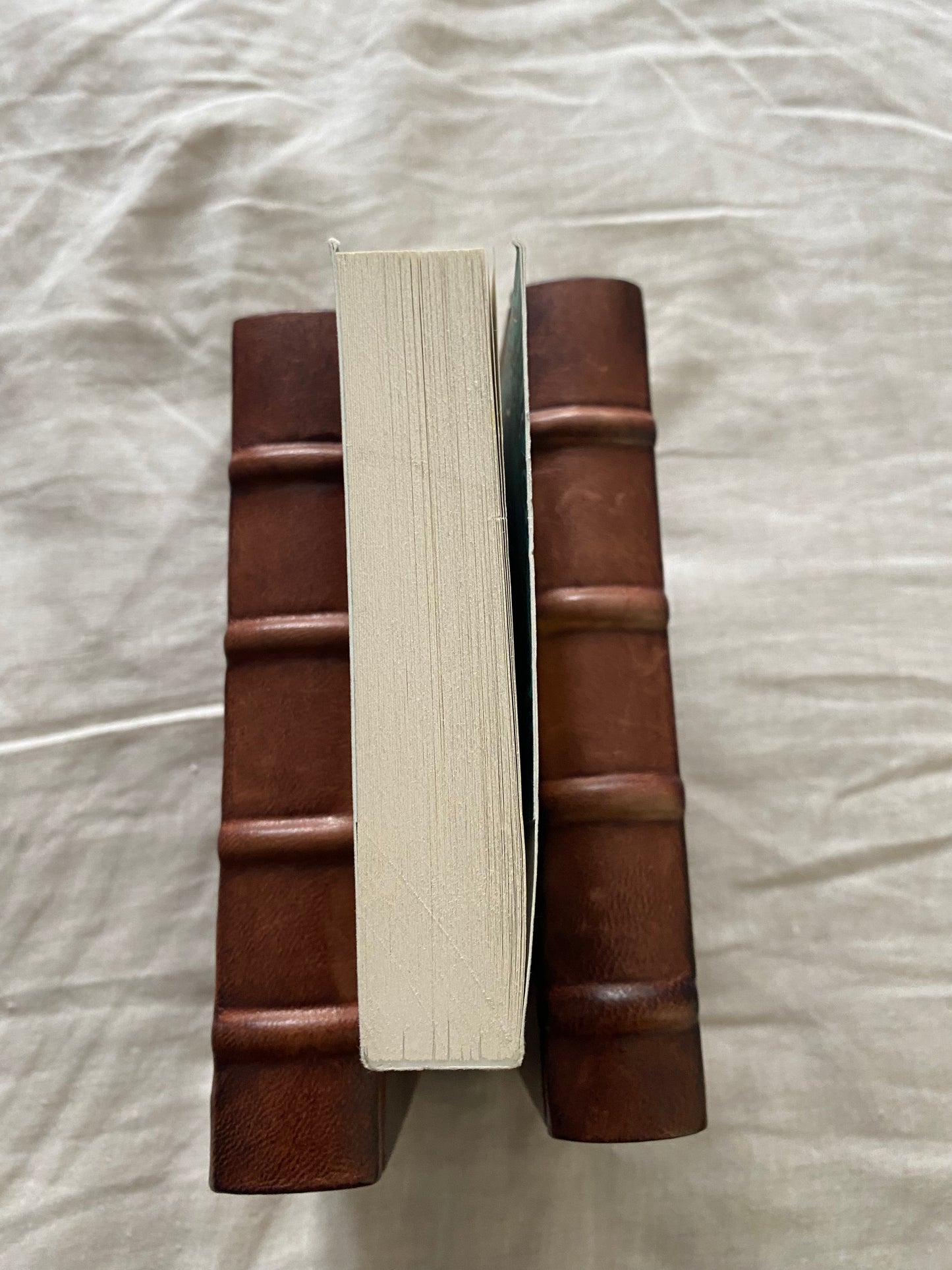 The Subtle Knife: Gift Edition (His Dark Materials Series #2)