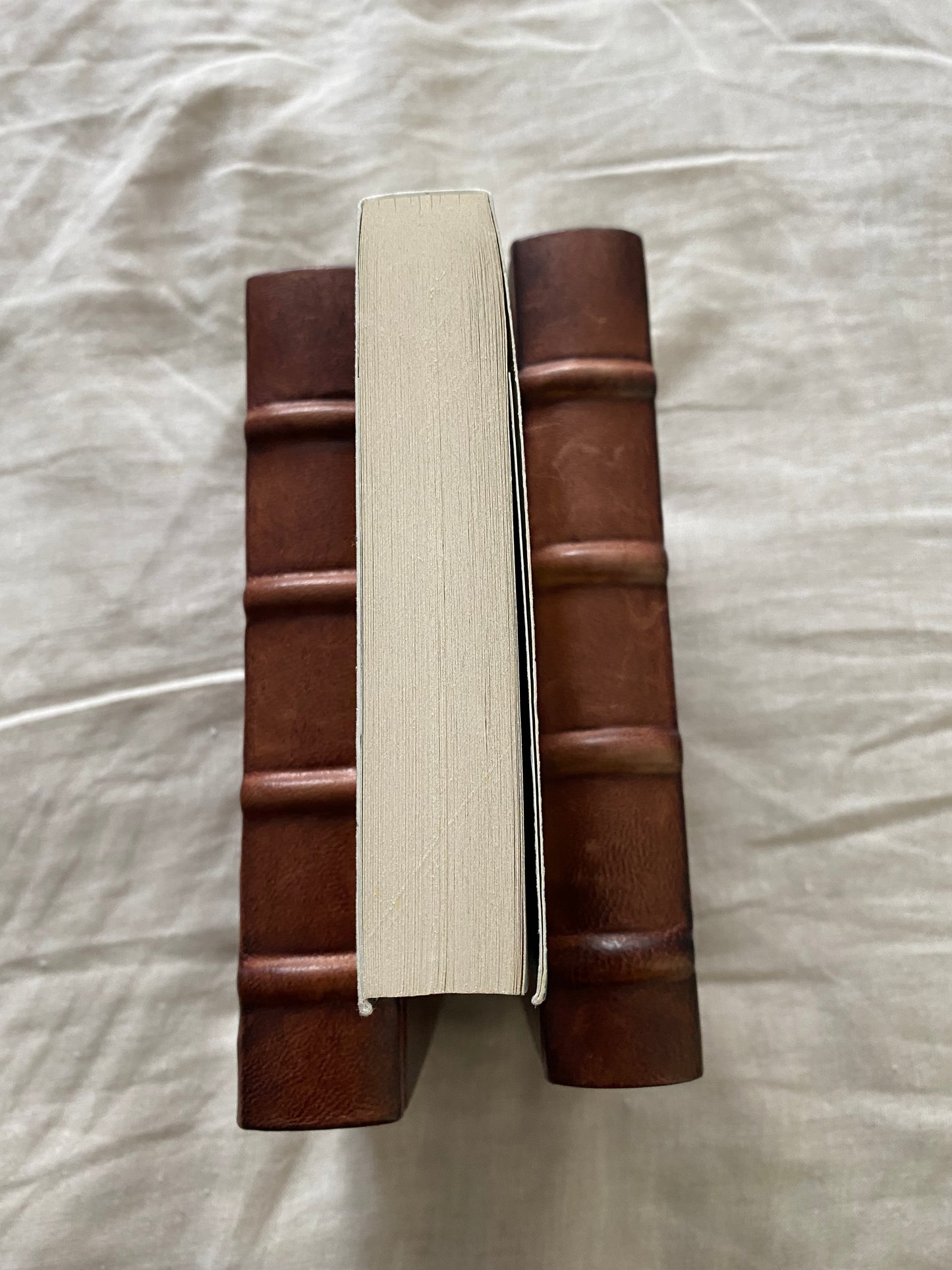 The Subtle Knife: Gift Edition (His Dark Materials Series #2)