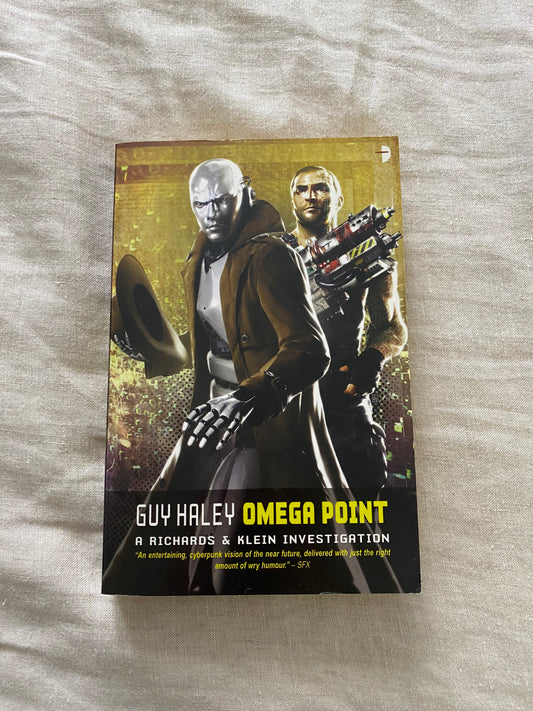 Omega Point: A Richards & Klein Investigation (Richards & Klein Series #2)