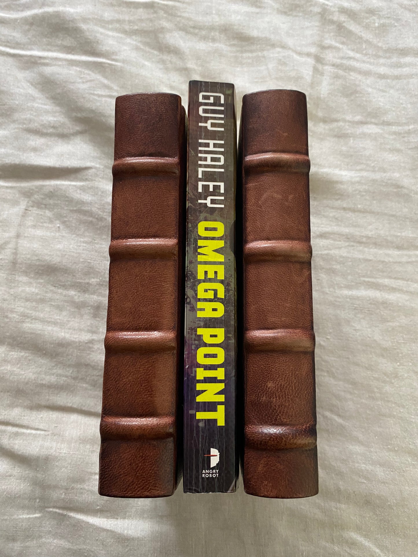 Omega Point: A Richards & Klein Investigation (Richards & Klein Series #2)