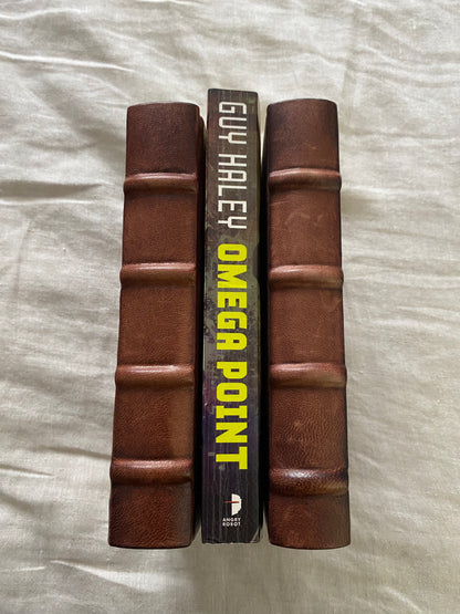 Omega Point: A Richards & Klein Investigation (Richards & Klein Series #2)