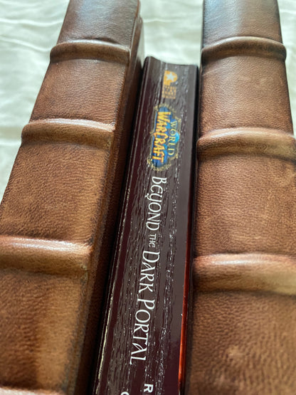 World of Warcraft: Beyond the Dark Portal